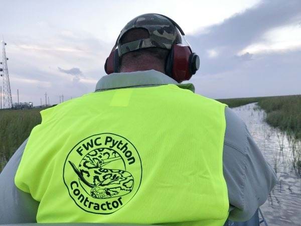 Python removal contrator wears an indetifying vest while searching for pythons via airboat.