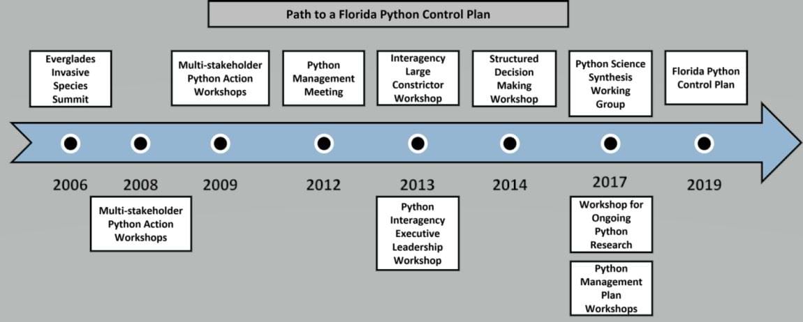 Graphic depicting the path of development for the FPCP
